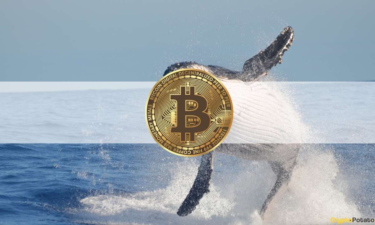 Dormant-btc-whale-wakes-up,-sends-$60-million-for-the-first-time-in-9-years