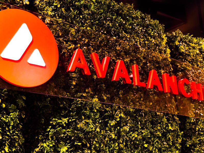 Alibaba-cloud-builds-metaverse-launchpad-on-avalanche