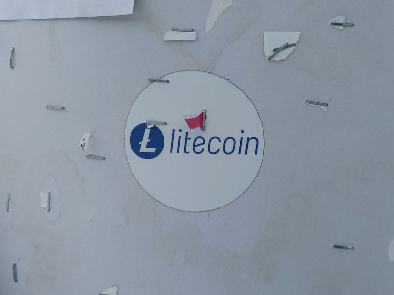 Litecoin-transactions-hit-record-high-as-bitcoin-fees-surge-amid-brc-20-frenzy