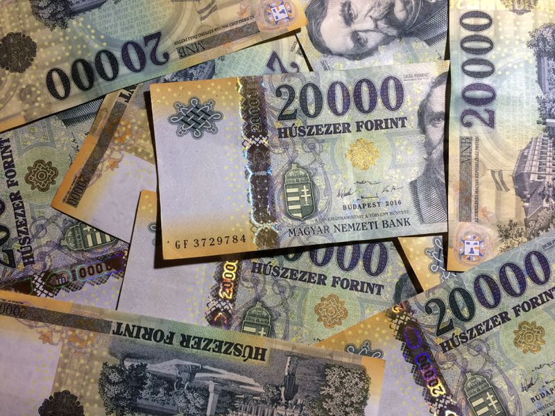 Hungarian-central-bank-sees-no-imminent-need-for-e-forint