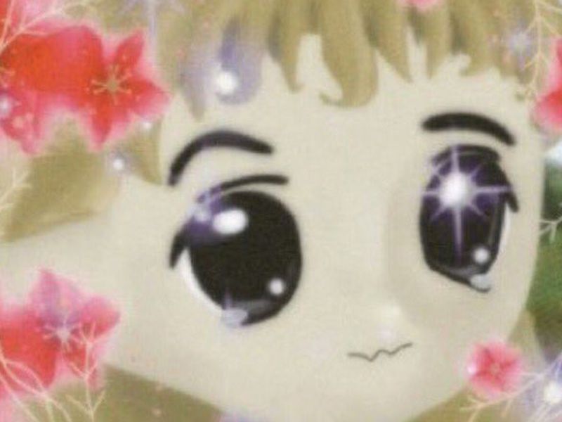 Musk’s-milady-meme,-opening-up-ordinals