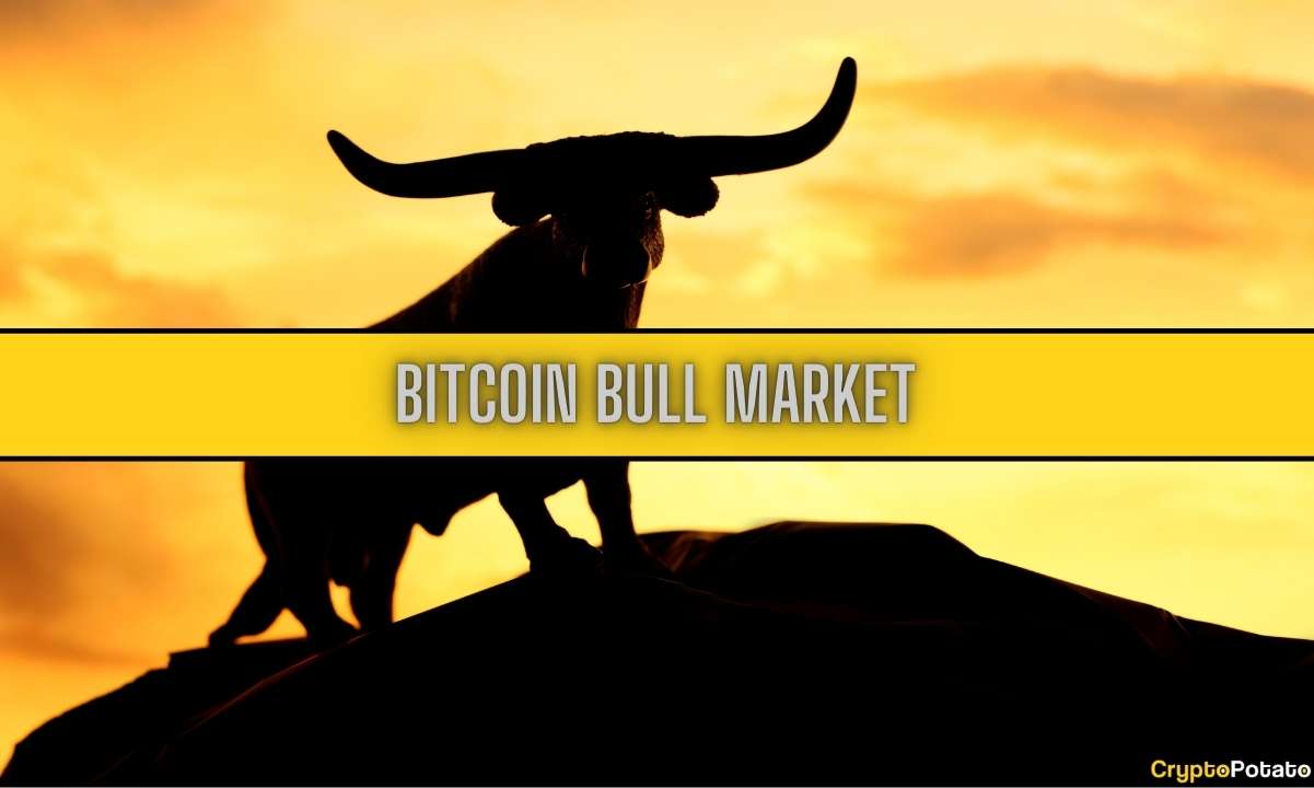 How-to-prepare-for-the-next-bitcoin-bull-market:-10-tips-you-must-know