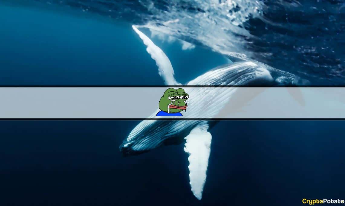 Pepe-whales-selling-at-huge-losses-as-meme-coins-continue-bleeding