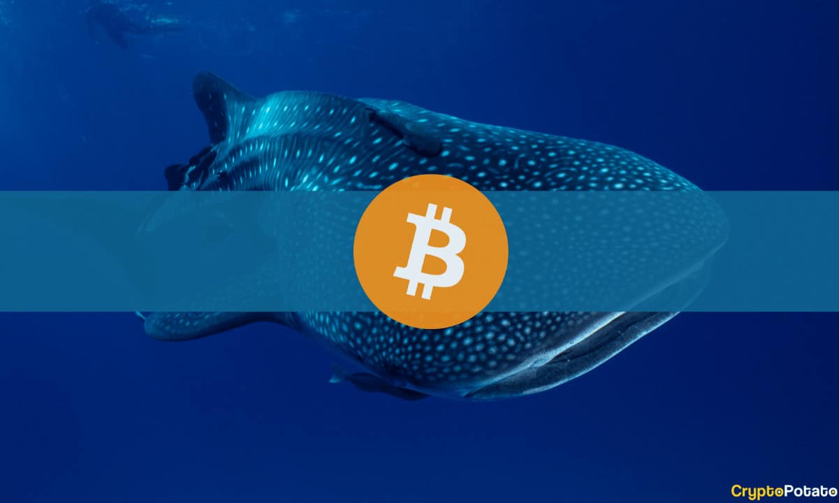 Bitcoin-whale-address-activates-after-decade,-transfers-$37.8m-worth-of-btc