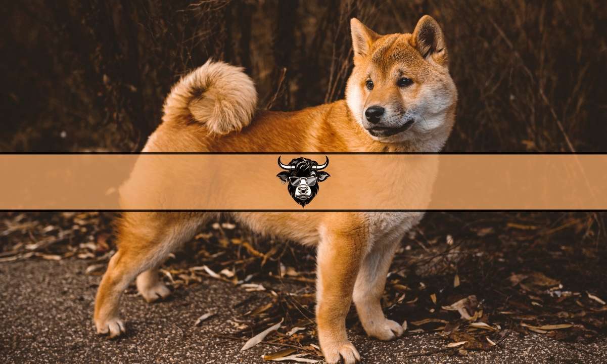 Shiba-inu-price-showing-bullish-momentum:-can-it-continue?-wall-street-memes-token-is-also-pumping
