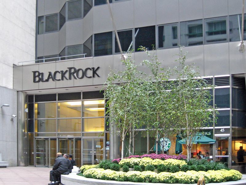 Blackrock-executive:-knowing-who-counterparties-are-is-key-to-engaging-institutions-in-defi
