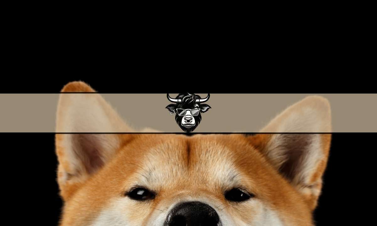 As-shiba-inu-price-flatlines,-wall-street-memes-presale-raises-$11-million