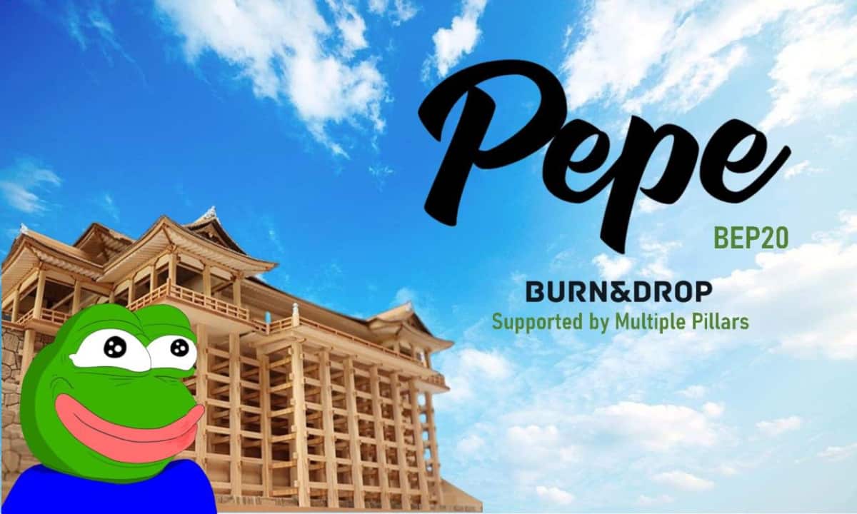 New-pepe-memecoin-to-launch-on-bnb-chain