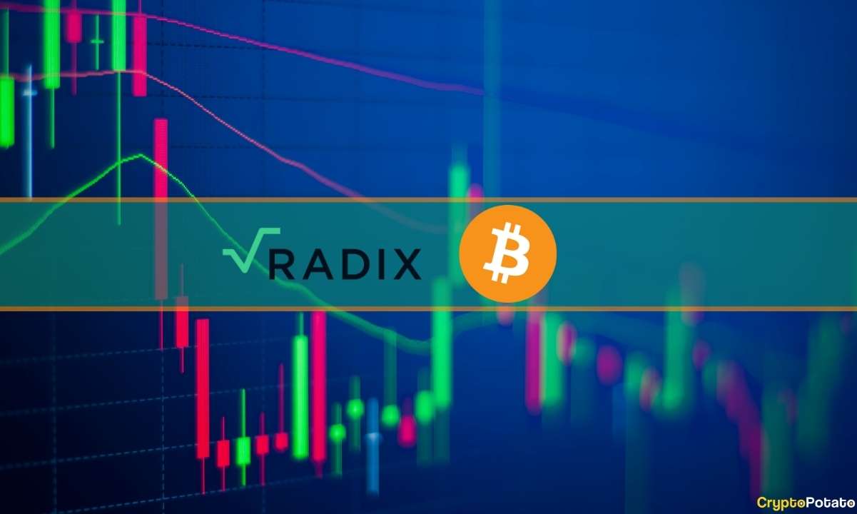 Bitcoin-fights-for-$30k,-radix-(xrd)-plummets-13%-daily:-market-watch