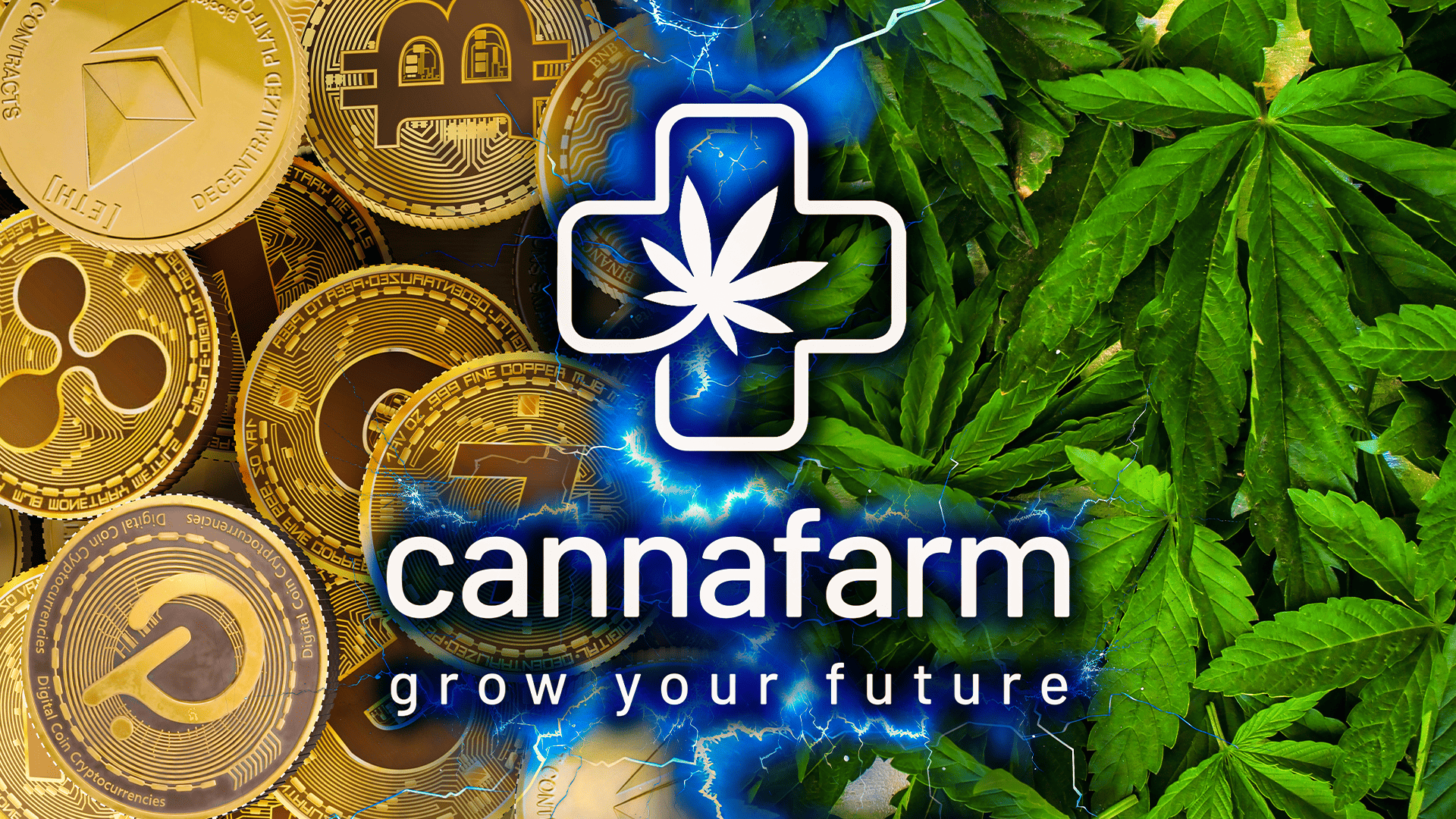 Combining-the-incongruous:-from-cryptocurrencies-to-organics-with-cannafarm