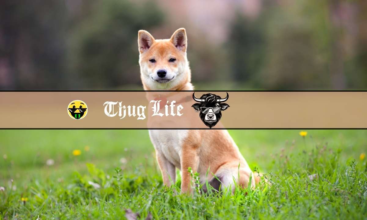 How-high-can-shiba-inu-price-go?-are-these-new-low-market-cap-meme-coins-a-better-alternative?