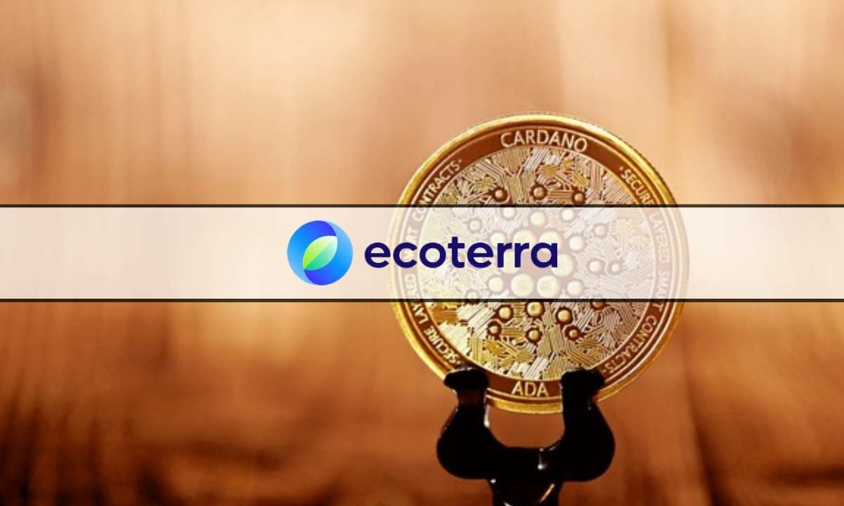 Cardano-and-polygon-prices-continue-to-grow-despite-revolut-delisting,-with-ecoterra-also-rising