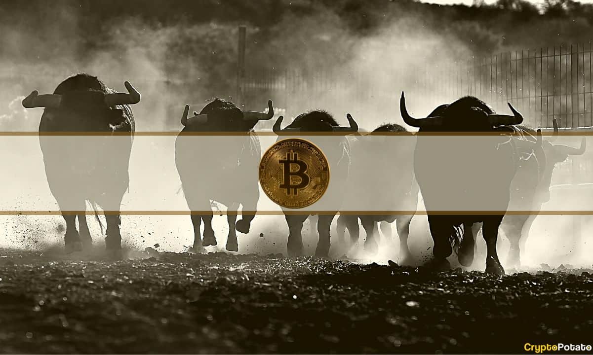 On-chain-metrics-and-investor-behavior-suggest-signs-of-a-bull-run:-bitfinex-report