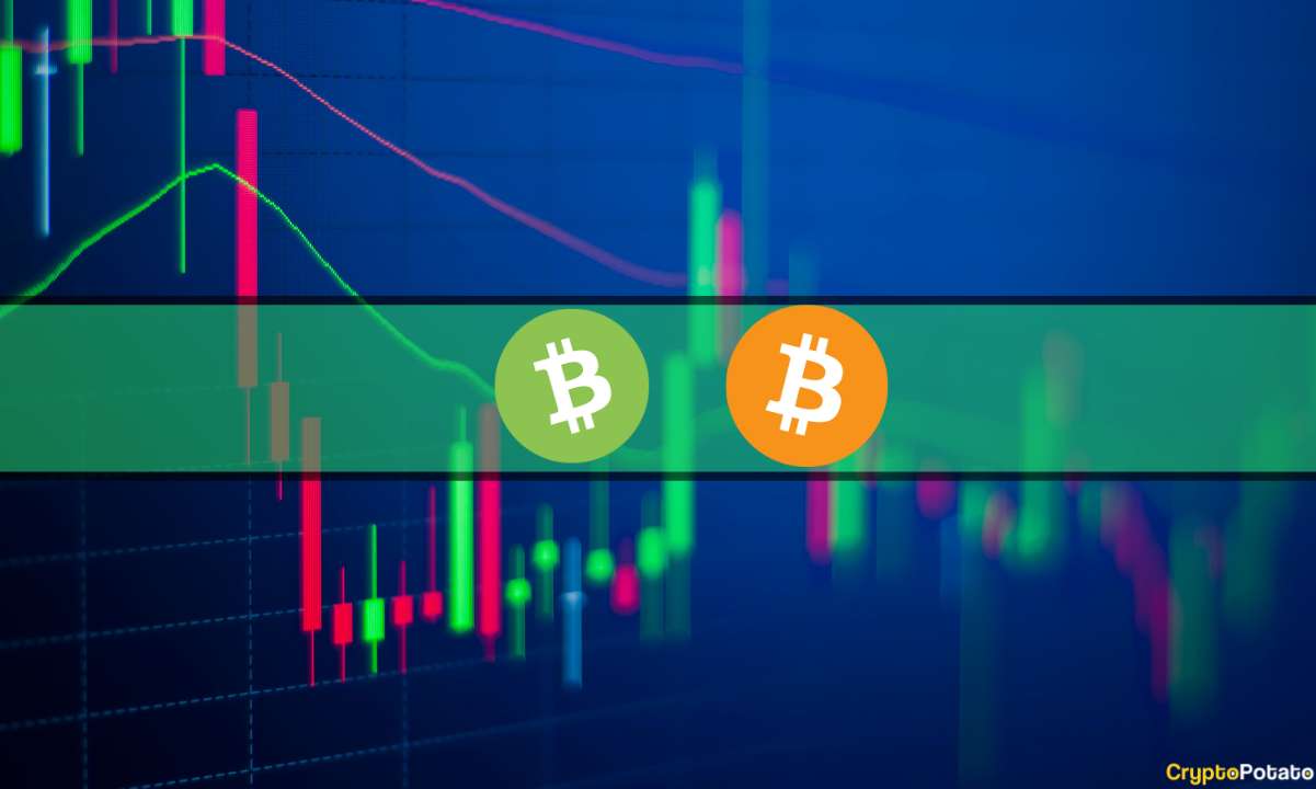 Bitcoin-cash-jumps-8%-daily,-bitcoin-challenges-$31k-again-(market-watch)