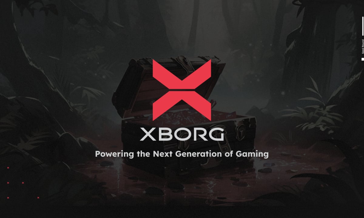 Powering-the-next-generation-of-gaming:-xborg-sells-out-$2-million-seed-round-community-allocation