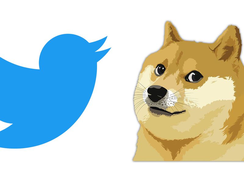 Dogecoin-rises-after-twitter-rebranding,-bitcoin-slides-to-$29k