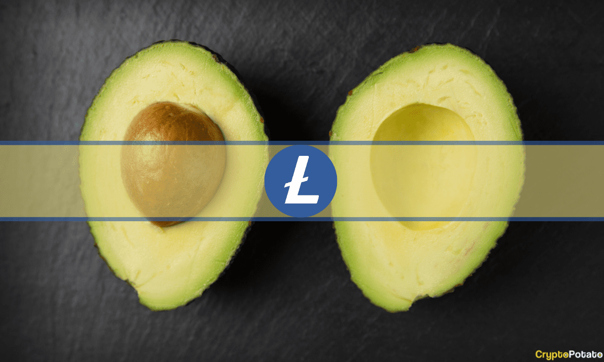 Litecoin-undergoes-3rd-halving-but-ltc-plunges-6%:-why?