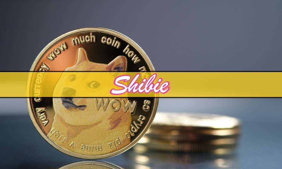As-dogecoin-and-pepe-prices-slide,-could-new-meme-coin-shibie-token-be-an-alternative?