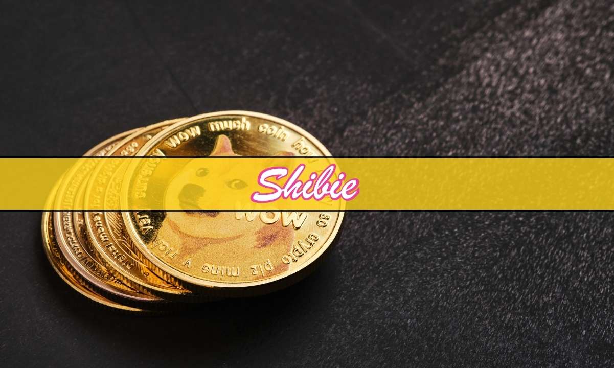 How-$10k-in-dogecoin-could-have-made-you-a-crypto-millionaire-–-could-shibie-coin-explode-next?