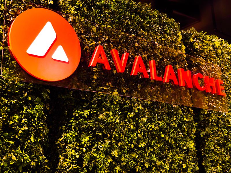 Avalanche-blockchain-usage-grew-in-second-quarter:-nansen