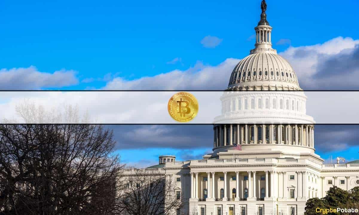 Trump,-kennedy,-and-more:-how-do-2024-presidential-candidates-look-at-crypto?