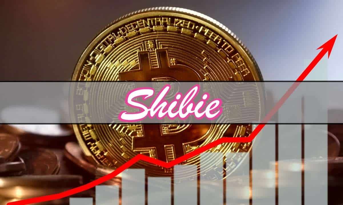 Bitcoin-price-bounces,-shibie-coin-presale-passes-$200,000-milestone-–-risk-on-for-meme-tokens?