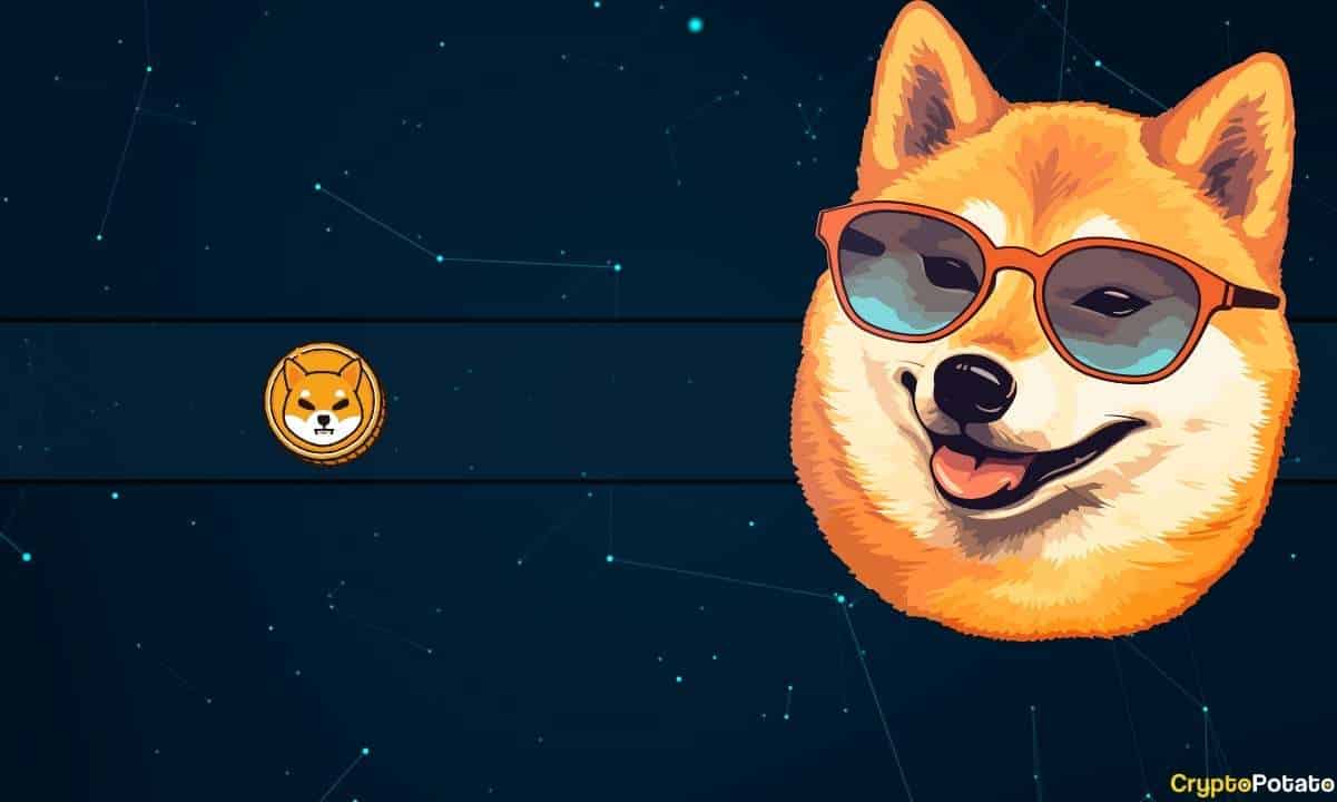 Shiba-inu-(shib)-leads-weekly-price-charge,-declares-meme-war-with-x