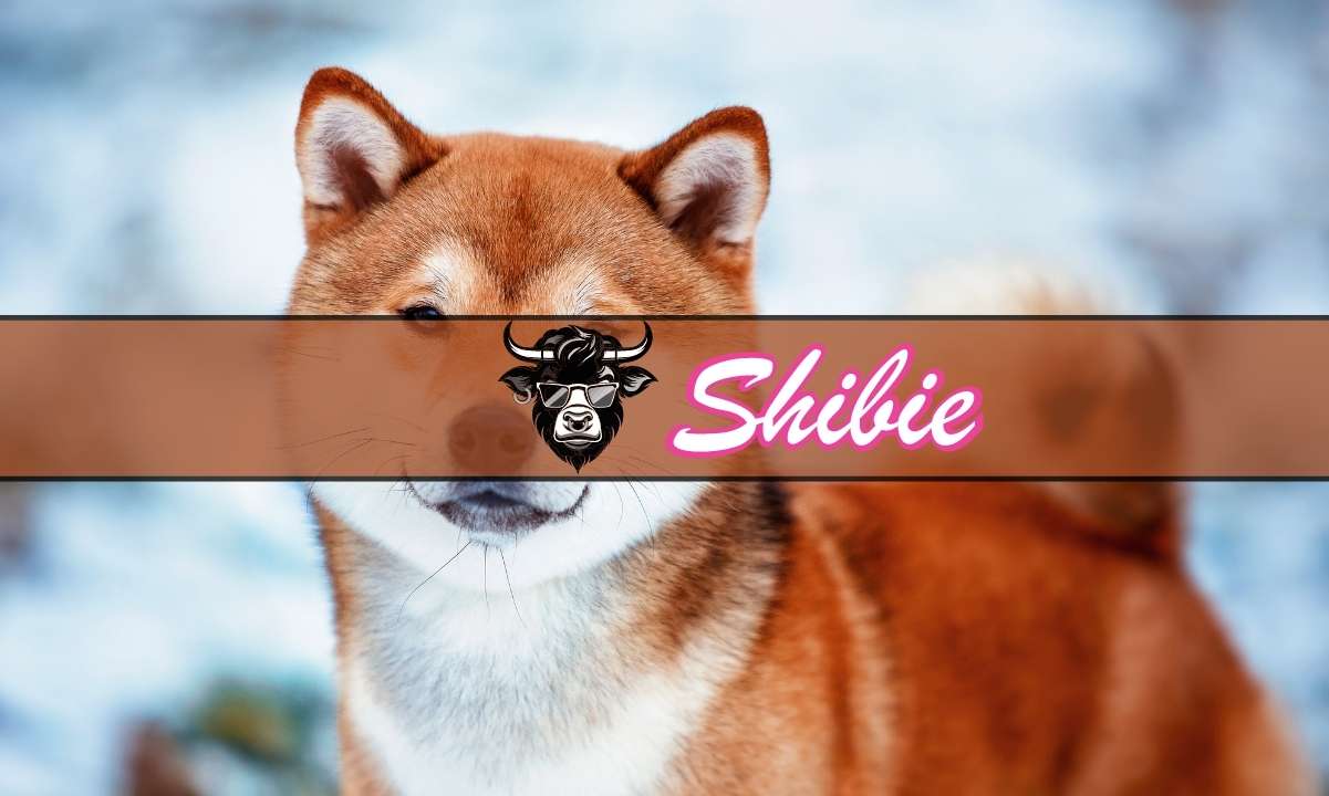 Will-shiba-inu’s-price-pump-after-shibarium?-wall-street-memes-also-bullish