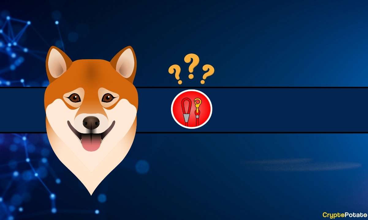 Will-shiba-inu’s-leash-skyrocket-this-week?-lead-developer-teases-big-updates,-here’s-when