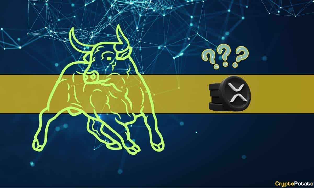 How-high-can-ripple-(xrp)-go-during-the-next-bull-market?