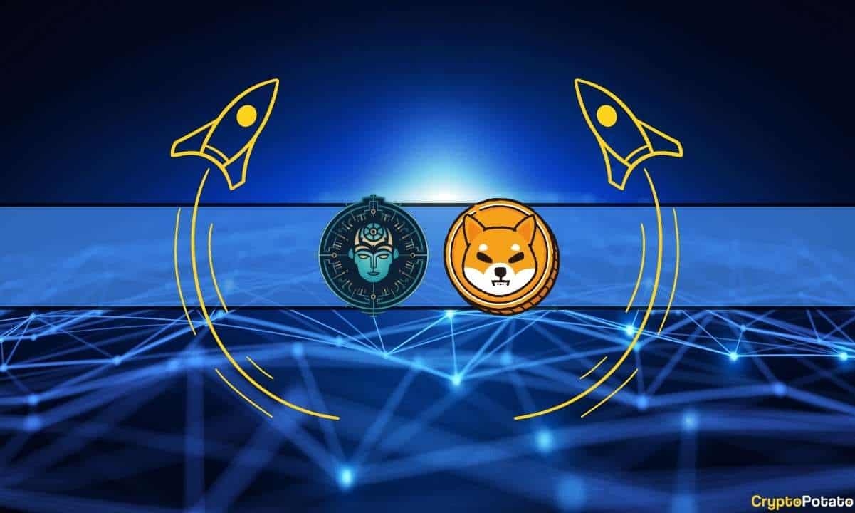 Shiba-inu-partner-bad-skyrockets-20%-daily:-here’s-why