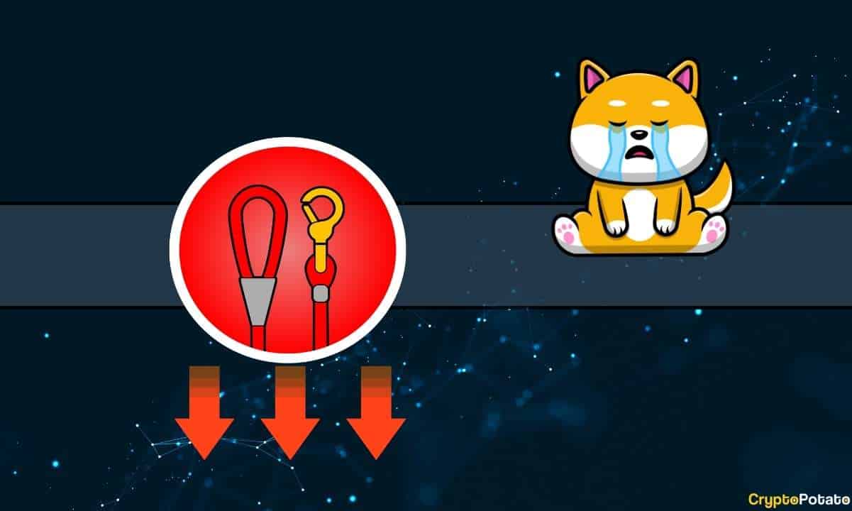 Shiba-inu’s-leash-token-plunges-on-underwhelming-announcement,-but-there’s-more