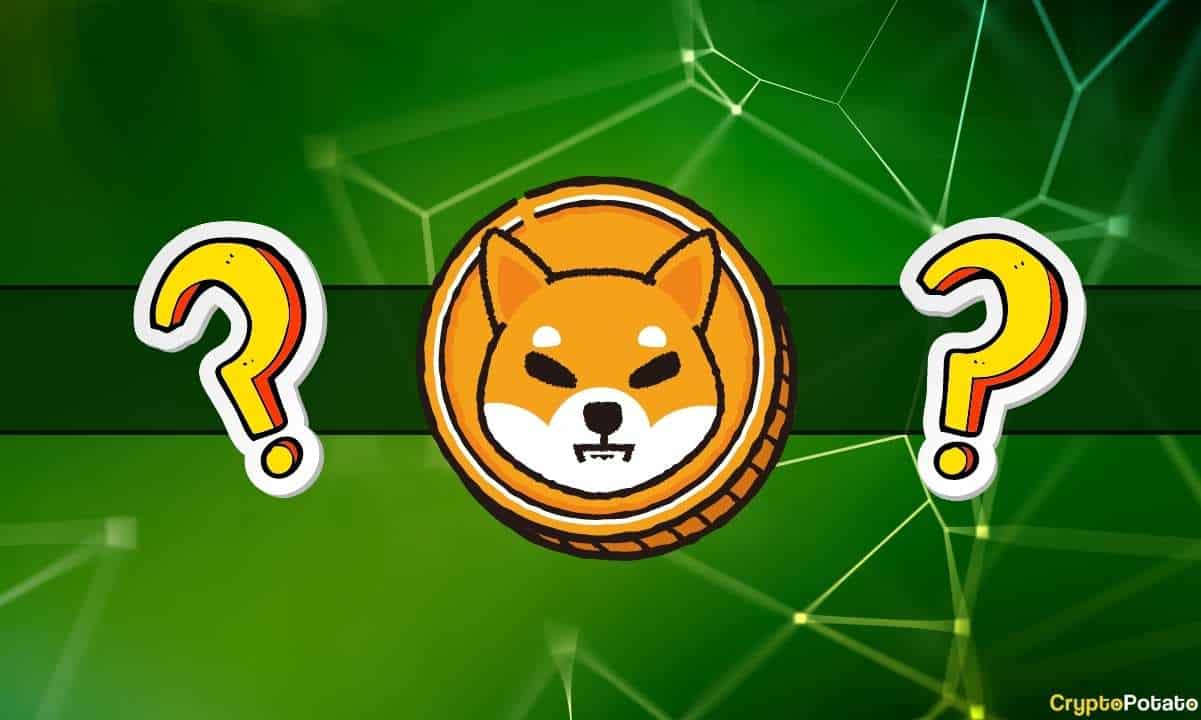 Shibarium-announcement-today?-community-speculates-on-upcoming-shiba-inu-developments