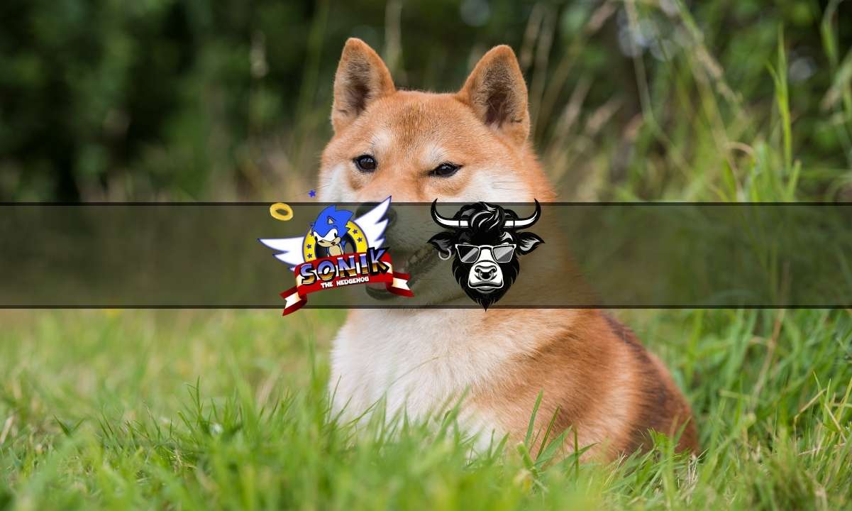Here’s-why-the-shiba-inu-price-has-dipped,-as-traders-back-these-new-meme-coins-to-pump
