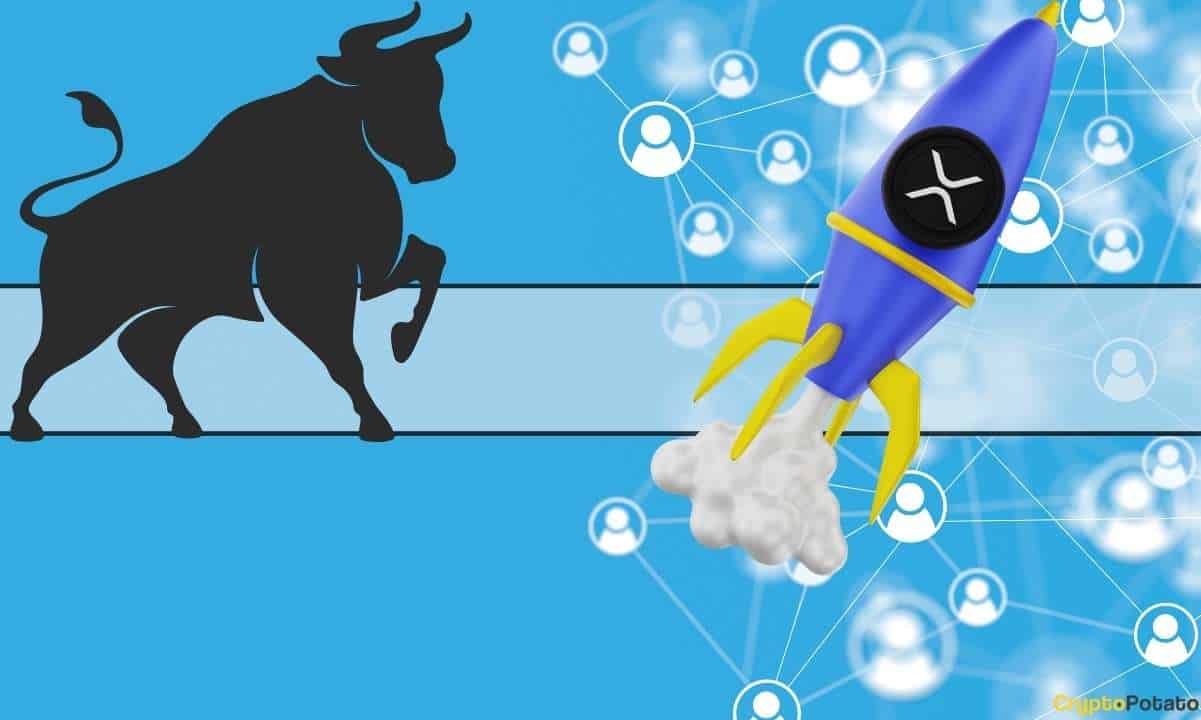Xrp-price-during-next-bull-market:-3-things-to-keep-an-eye-out-for