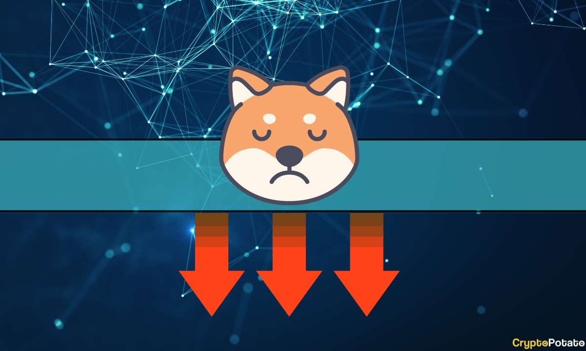 Shiba-inu-(shib)-price-crashes-13%,-what’s-next?