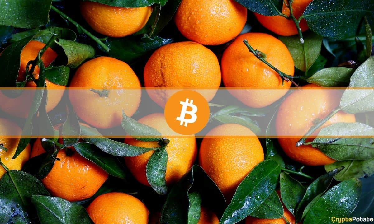 Orange-prices-are-up-since-2020-by-about-as-much-as-bitcoin