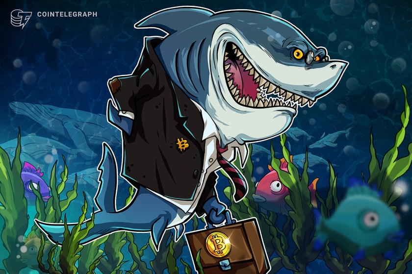 Bitcoin-speculators-are-underwater-on-88%-of-their-btc-bags-—-research