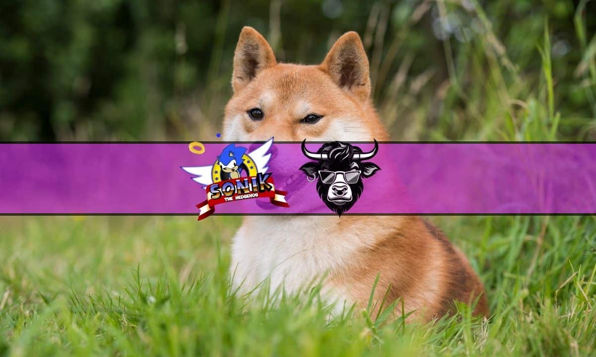 Will-the-shiba-inu-price-recover-after-tanking-over-20%?-wall-street-memes-emerges-as-alternative-with-$26-million-raised
