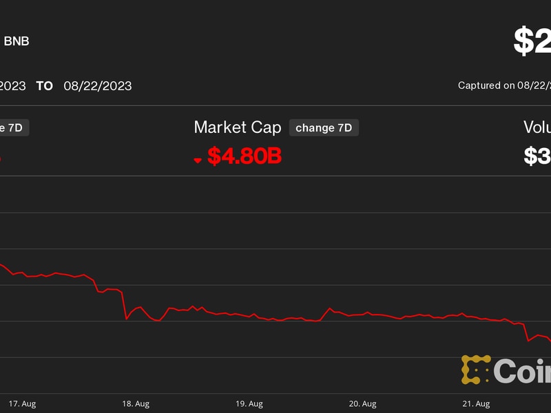 Bnb-token-stumbles-to-1-year-low-amid-mounting-scrutiny-over-binance