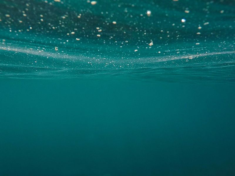 Nearly-90%-of-bitcoin-short-term-holders-are-underwater,-onchain-data-show