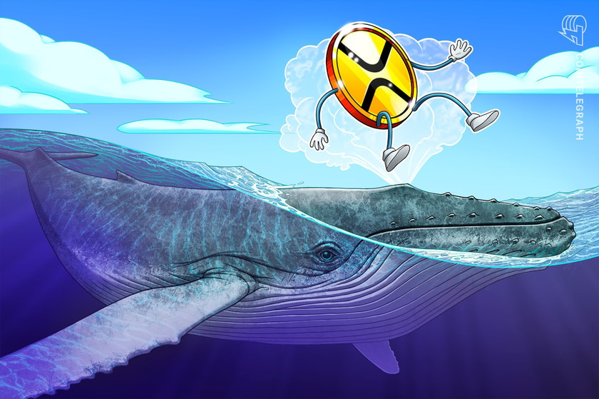 Xrp-whale-moves-29-million-tokens-to-bitstamp-amid-price-slide