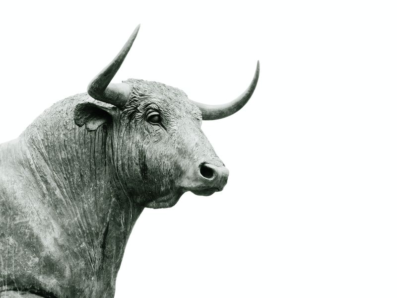 Crypto-for-advisors:-bitcoin-and-the-bull