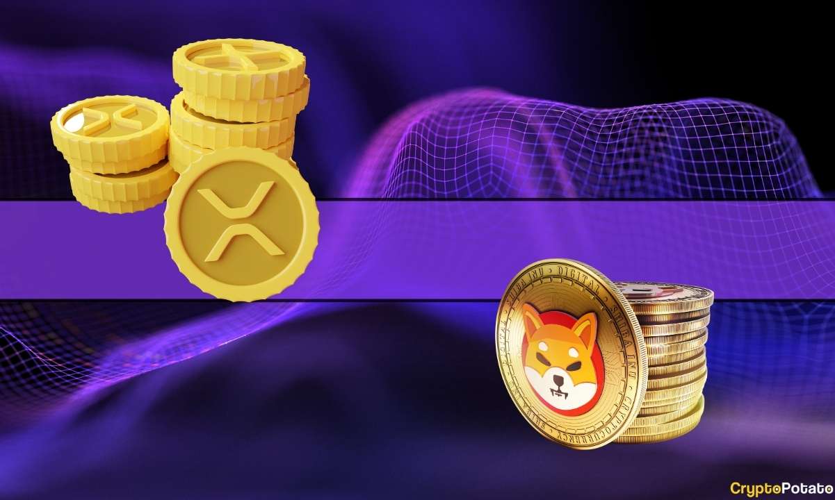 Shib,-xrp-among-most-traded-coins-on-this-leading-exchange