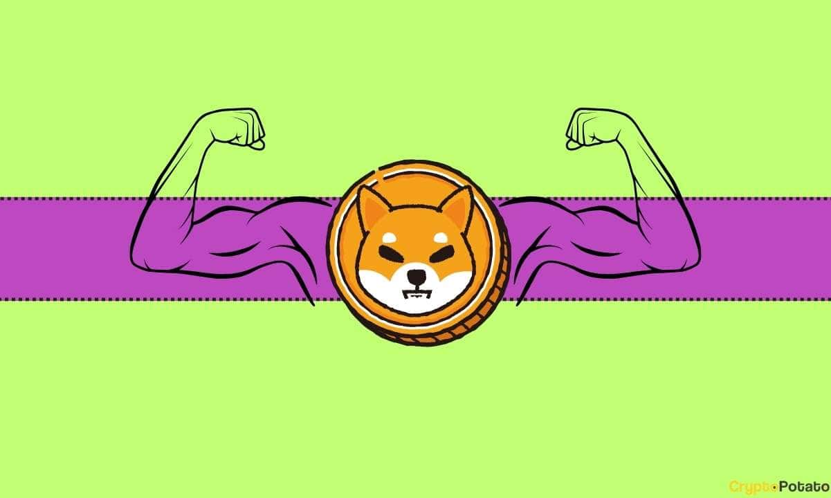 5-upcoming-developments-to-watch-for-as-shiba-inu-gears-for-advancement