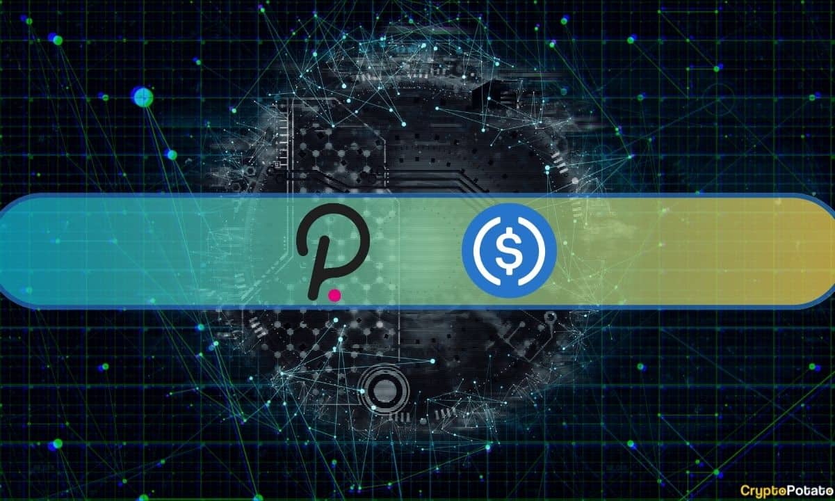 Circle’s-usdc-stablecoin-is-now-available-on-polkadot-asset-hub