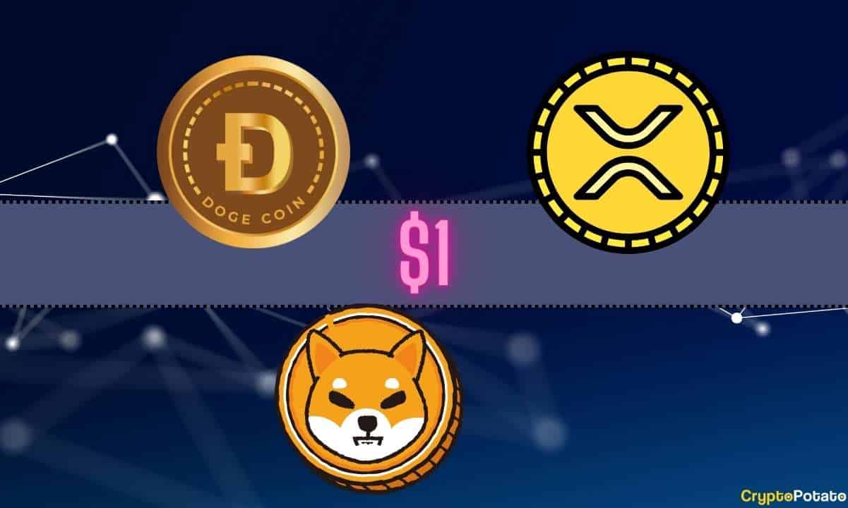 Which-cryptocurrency-will-reach-$1-first:-ripple-(xrp),-shiba-inu-(shib),-or-dogecoin-(doge)?