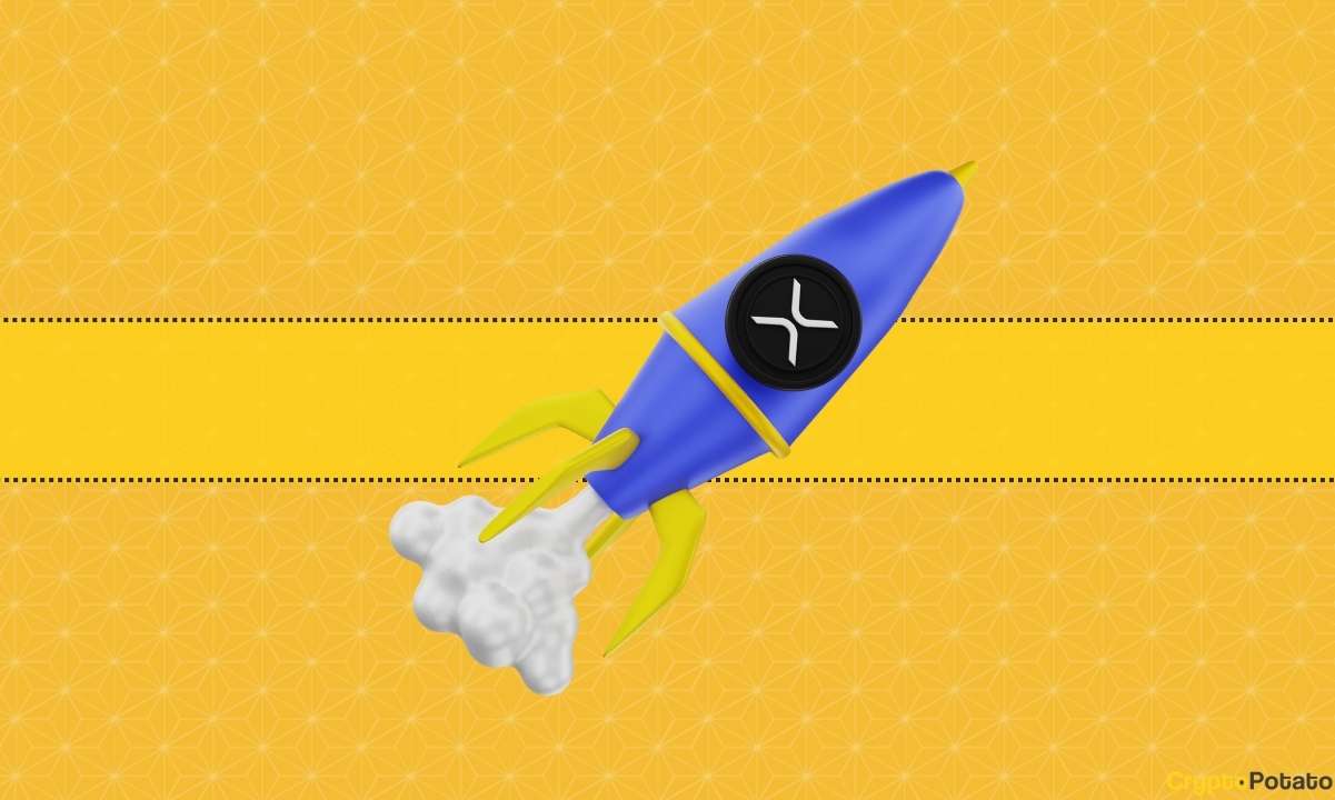 Pro-xrp-lawyer-expects-a-bull-run-for-bitcoin-in-october