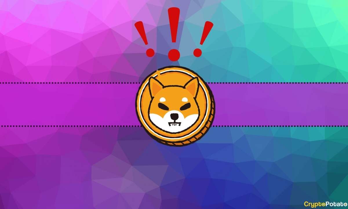 Shiba-inu-(shib)-drops-important-details-of-upcoming-application