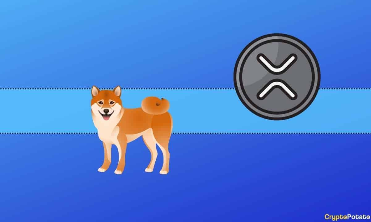 The-past-24-hours-for-ripple-(xrp),-shiba-inu-(shib),-and-more